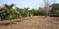 Kenia Diani Beach